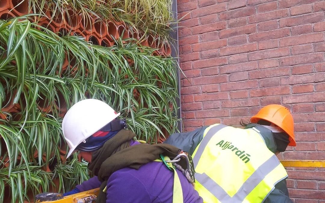 Jardín Vertical Ayuntamiento Rubí