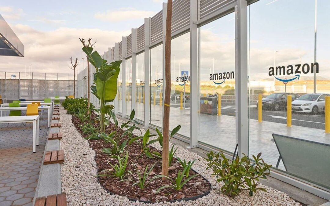 Proyecto de paisajismo en Amazon en Murcia