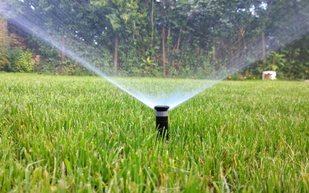 Consejos para optimizar el gasto de agua en tu jardín y mantenerlo siempre verde