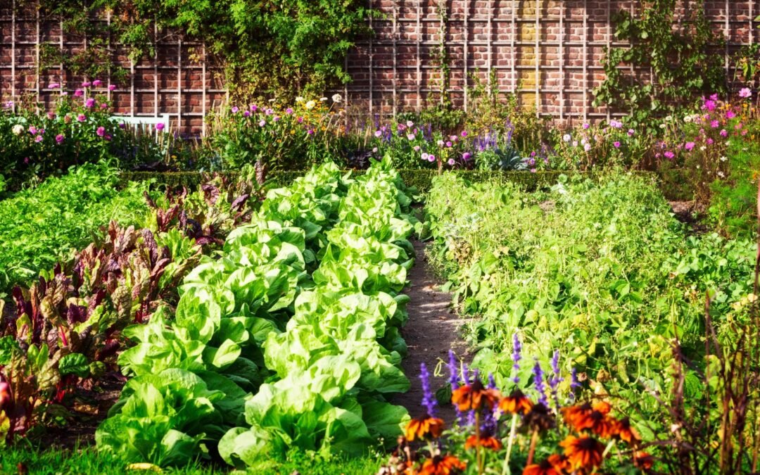Huertos urbanos: un oasis de bienestar, sostenibilidad y conexión humana